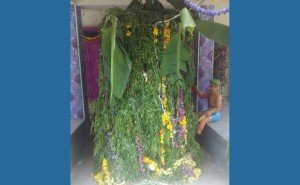 ವಾಲ್ಮೀಕಿ ಮತಸ್ಥರಾದ ನಾಯಕ ಜನಾಂಗದವರಿಂದ ಸೊಪ್ಪಿನ ರಥವನ್ನು ದೇವಿಗೆ ಅರ್ಪಿಸಲಾಯಿತು.