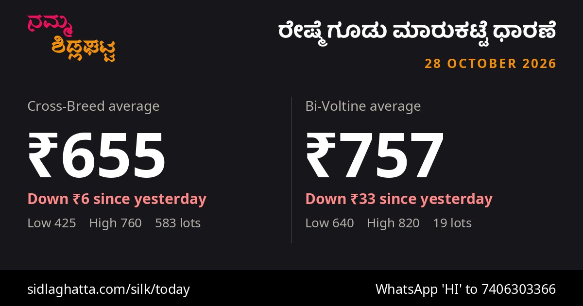 Sidlaghatta daily silk cocoon rates