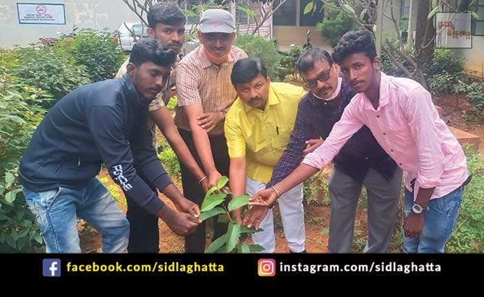 Farmers Day Celebration Planting Trees Plants Govt first Grade College Sidlaghatta