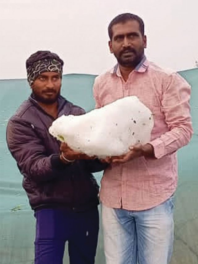 ಬೃಹತ್ ಗಾತ್ರದ ಆಲೀಕಲ್ಲು ಮಳೆ