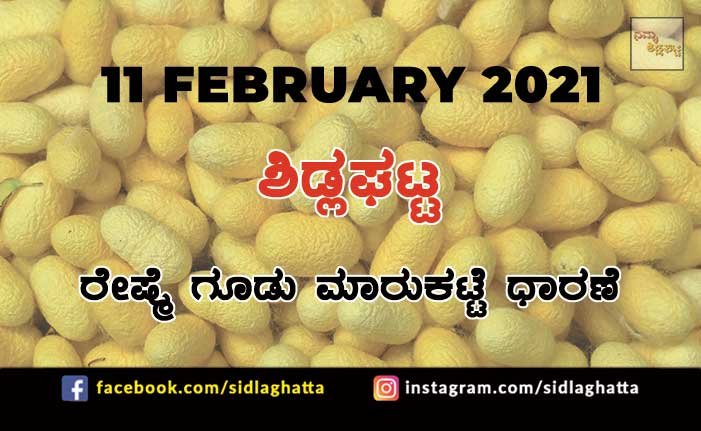 Silk cocoon Sidlaghatta Market February 11 2021