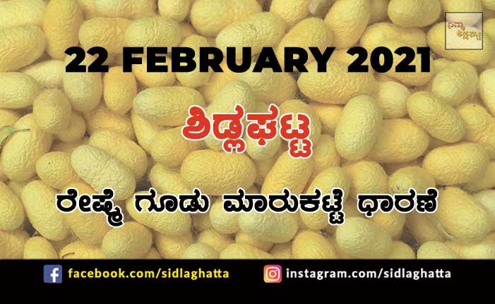 22feb1 Silk cocoon Sidlaghatta Market February 22 2021