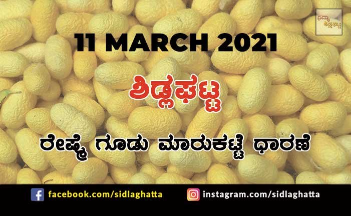 11mar5 Silk cocoon Sidlaghatta Market March 11 2021