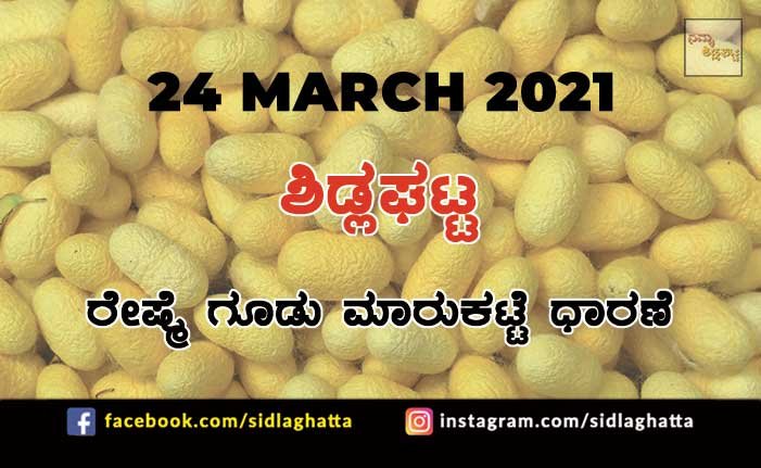 Silk cocoon Sidlaghatta Market March 24 2021