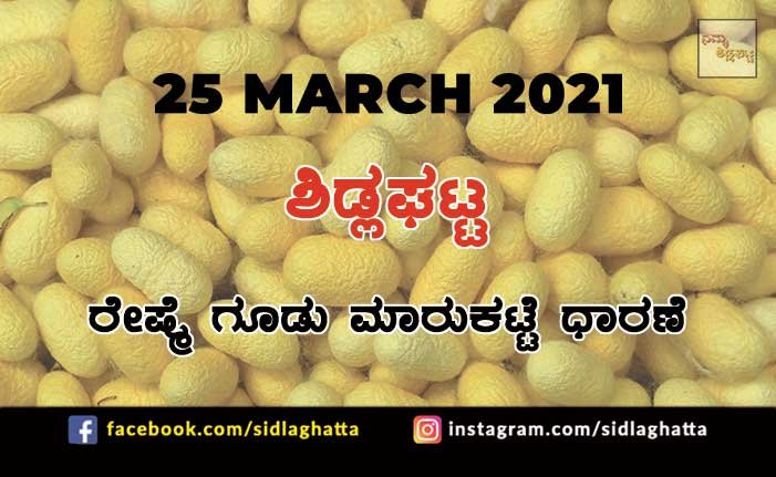 Silk cocoon Sidlaghatta Market March 25 2021