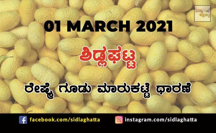 Silk cocoon Sidlaghatta Market March 01 2021
