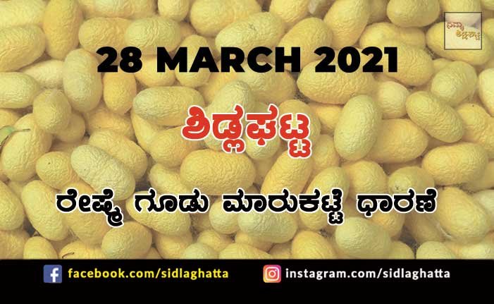 28mar1 Silk cocoon Sidlaghatta Market March 28 2021