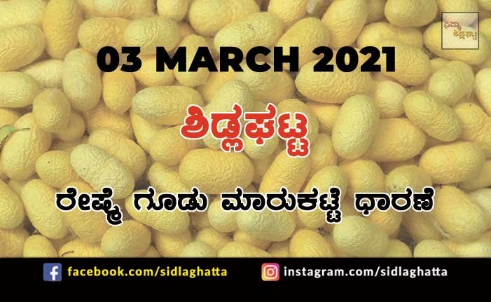 Silk cocoon Sidlaghatta Market March 03 2021