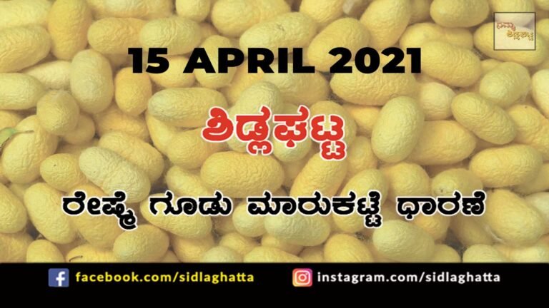 Silk cocoon Sidlaghatta Market April 15 2021