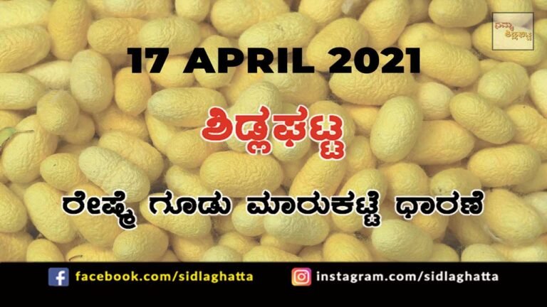Silk cocoon Sidlaghatta Market April 17 2021