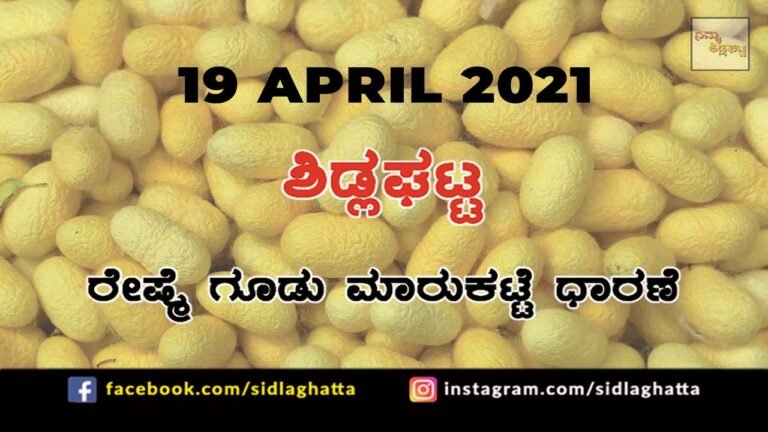 Silk cocoon Sidlaghatta Market April 19 2021