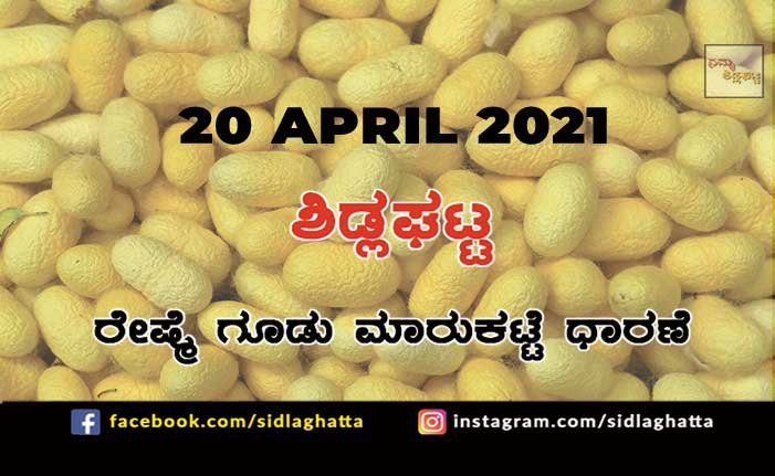 Silk cocoon Sidlaghatta Market April 20 2021