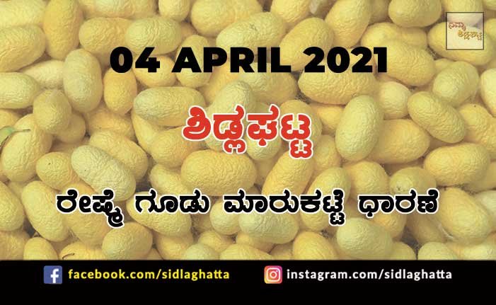 Silk cocoon Sidlaghatta Market April 4 2021