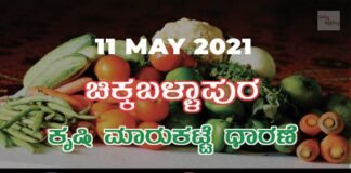 Chikkaballapur Agriculture Market APMC Daily Rates 11 may