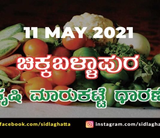 Chikkaballapur Agriculture Market APMC Daily Rates 11 may