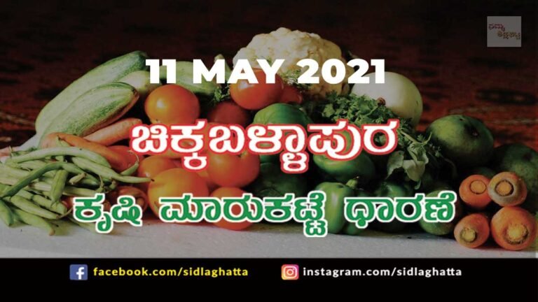 Chikkaballapur Agriculture Market APMC Daily Rates 11 may