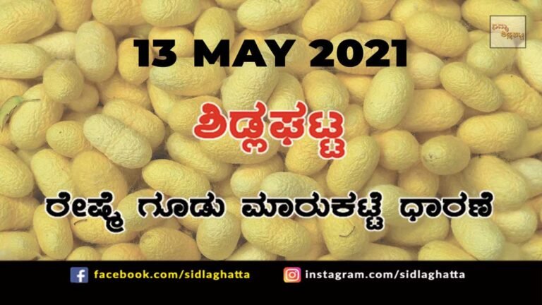 Silk cocoon Sidlaghatta Market May 13 2021