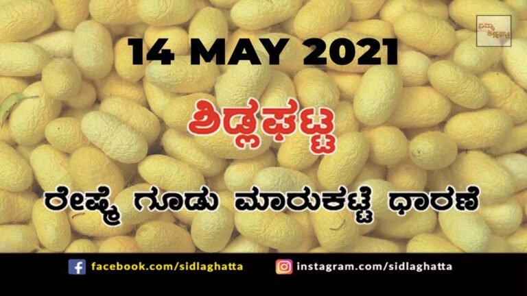 Silk cocoon Sidlaghatta Market May 14 2021