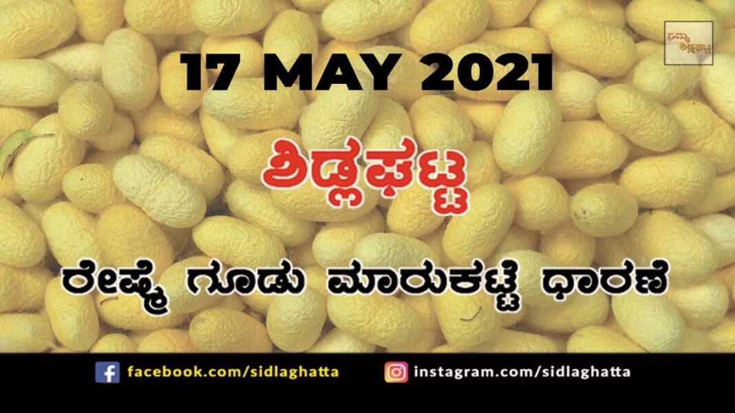 Silk cocoon Sidlaghatta Market May 17 2021