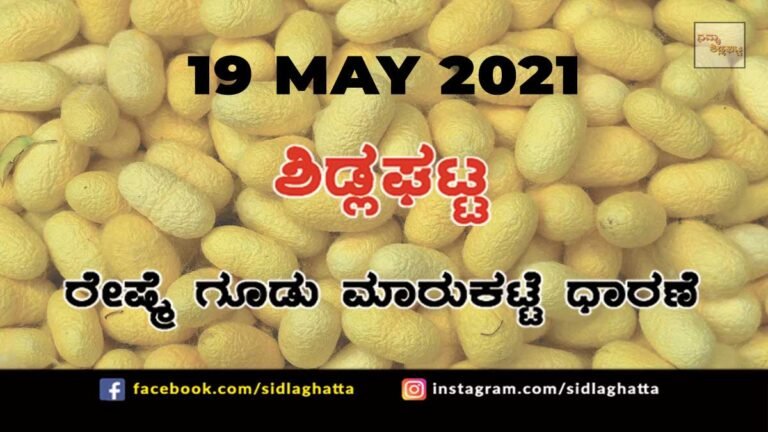 Silk cocoon Sidlaghatta Market May 19 2021