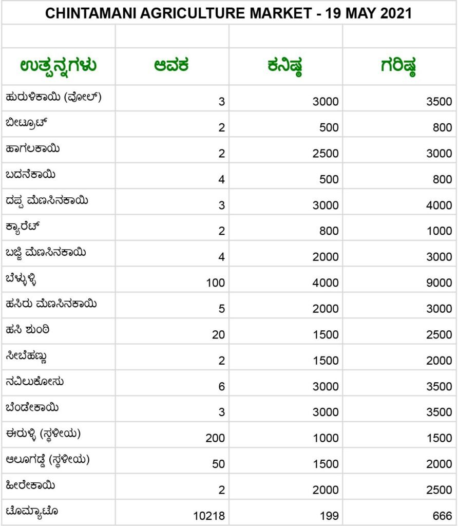 Chintamani Agriculture APMC Farmers Market May 19