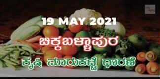 Chikkaballapur Agriculture Market APMC Daily Rates 19 may