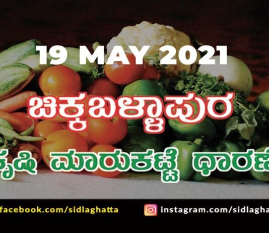 Chikkaballapur Agriculture Market APMC Daily Rates 19 may