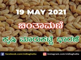 Chintamani Agriculture APMC Farmers Market May 19
