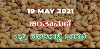 Chintamani Agriculture APMC Farmers Market May 19
