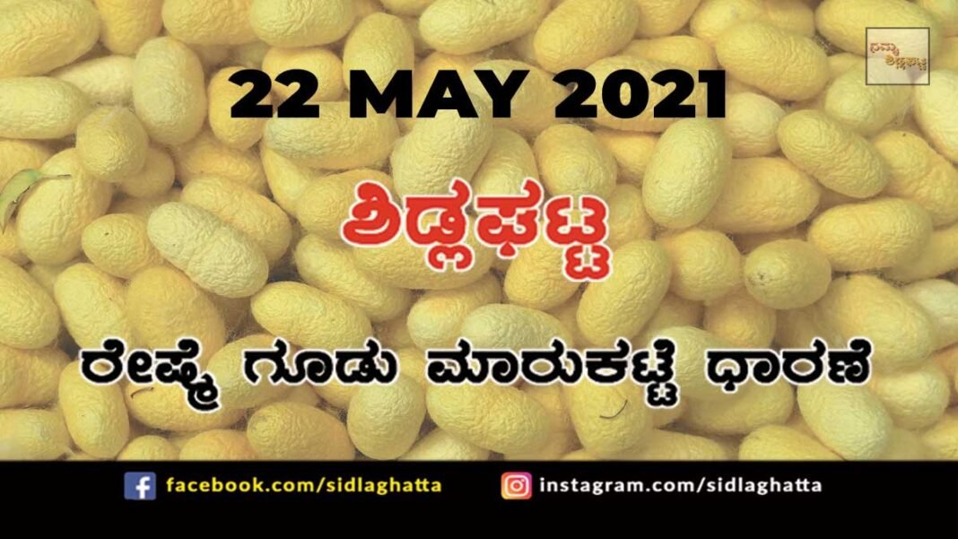 Silk cocoon Sidlaghatta Market May 22 2021