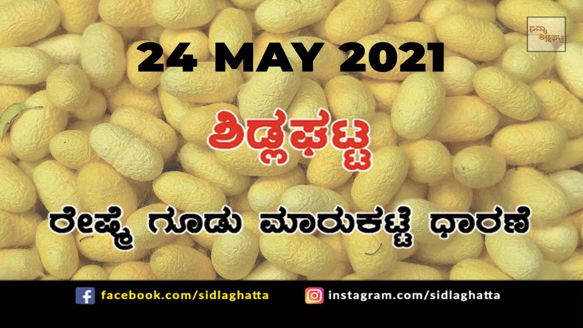 Silk cocoon Sidlaghatta Market May 24 2021