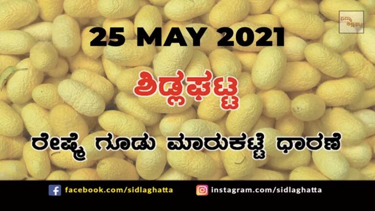 Silk cocoon Sidlaghatta Cocoon Raw Silk Industry Business Market May 25 2021