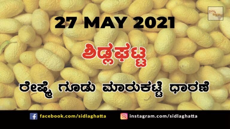 Silk cocoon Sidlaghatta Cocoon Raw Silk Industry Business Market May 27 2021