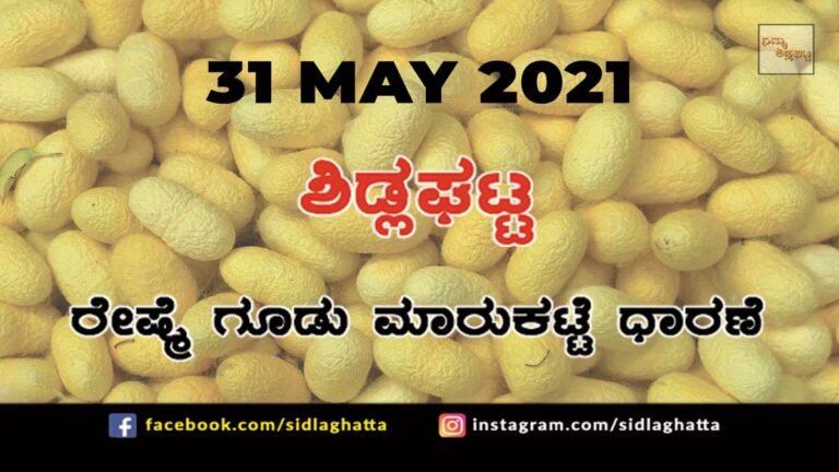 Silk cocoon Sidlaghatta Cocoon Raw Silk Industry Business Market May 31 2021