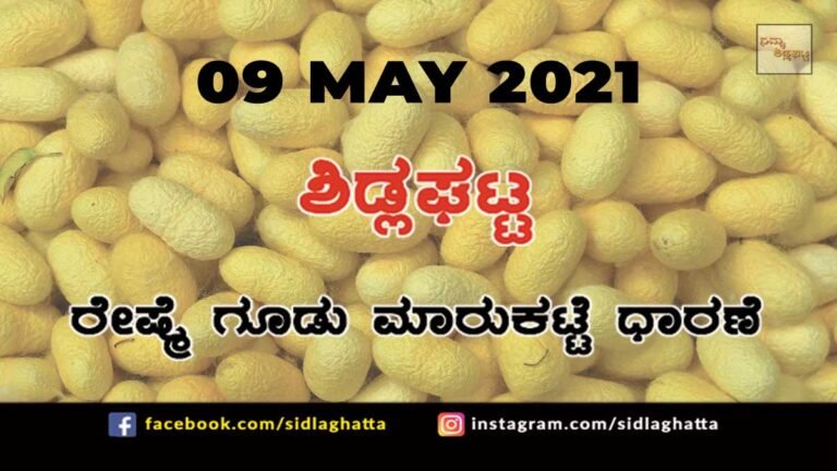 Silk cocoon Sidlaghatta Market May 09 2021