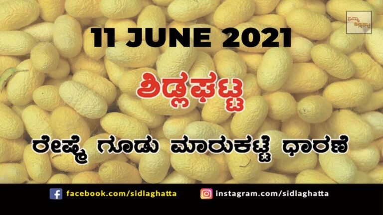 Silk cocoon Sidlaghatta Cocoon Raw Silk Industry Business Market June 11 2021