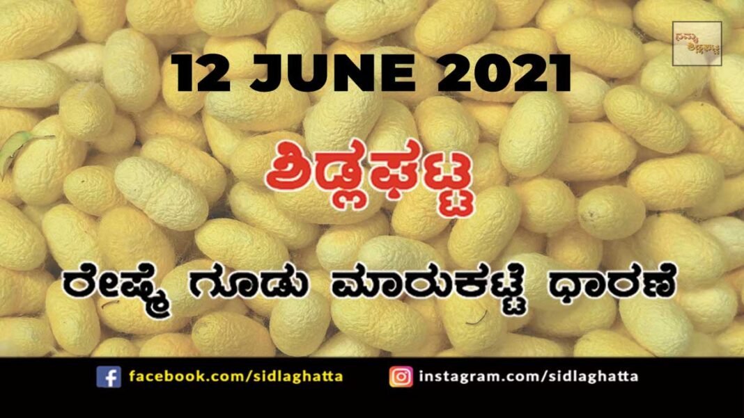 Silk cocoon Sidlaghatta Cocoon Raw Silk Industry Business Market June 12 2021