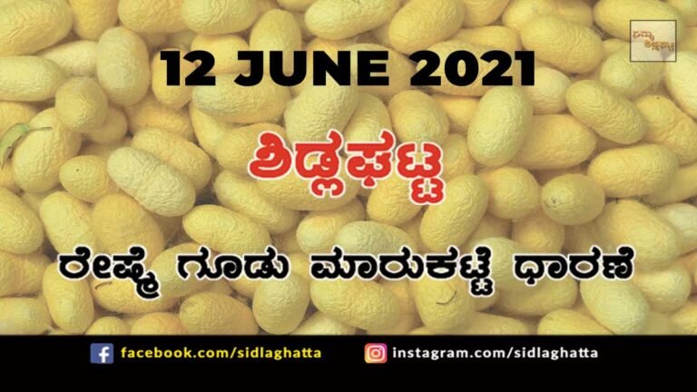 Silk cocoon Sidlaghatta Cocoon Raw Silk Industry Business Market June 12 2021