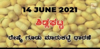 Sidlaghatta silk Cocoon Market Daily Rate