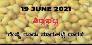 Sidlaghatta silk Cocoon Market Daily Rate