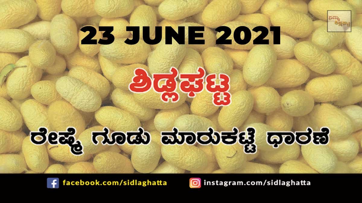 23jun1 Sidlaghatta silk Cocoon Market Daily Rate