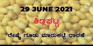 Sidlaghatta silk Cocoon Market Daily Rate