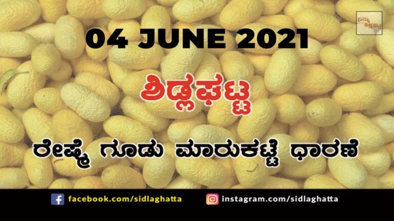 Silk cocoon Sidlaghatta Cocoon Raw Silk Industry Business Market June 4 2021