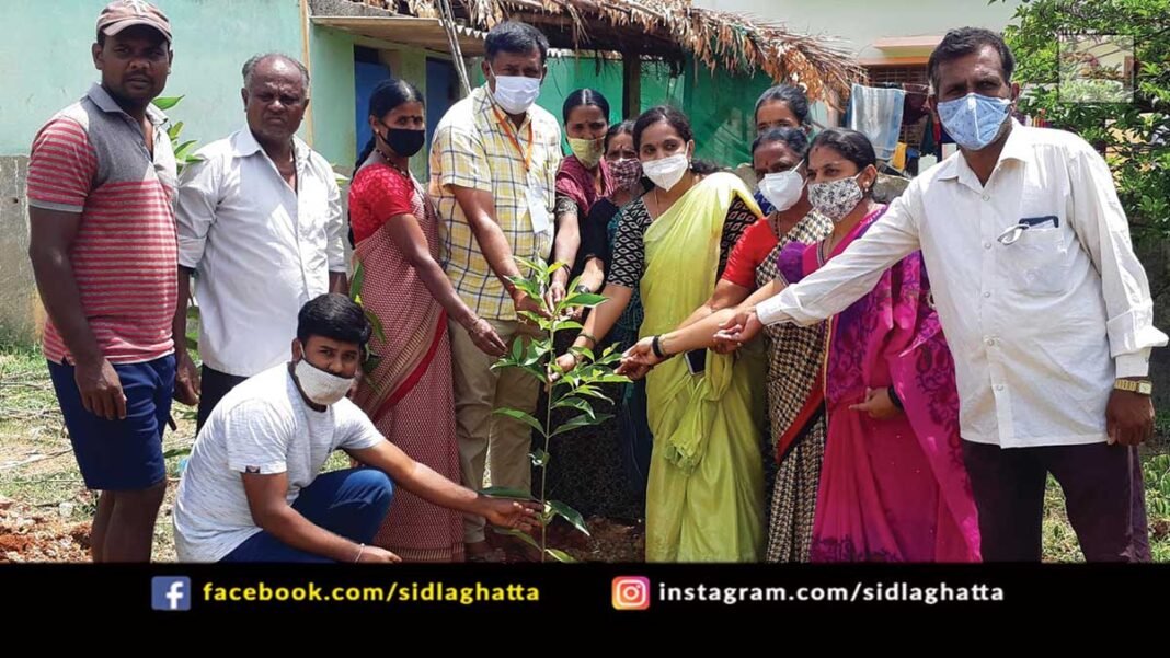 Sidlaghatta Taluk world environment Day