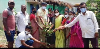Sidlaghatta Taluk world environment Day