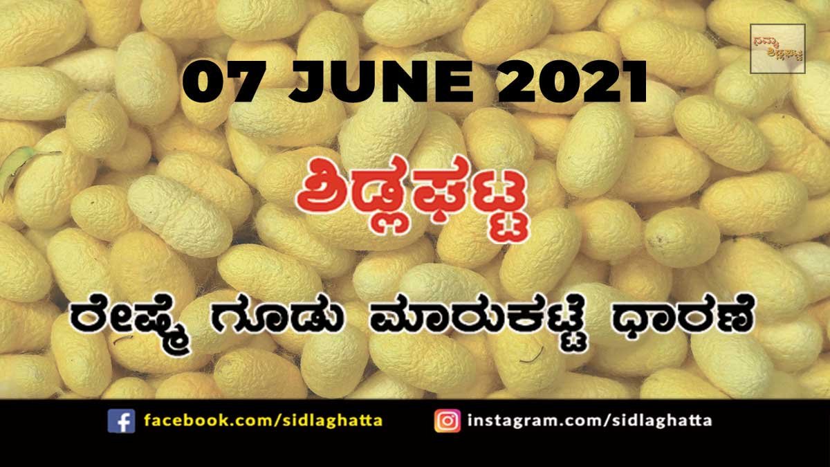 7jun5 Silk cocoon Sidlaghatta Cocoon Raw Silk Industry Business Market June 7 2021