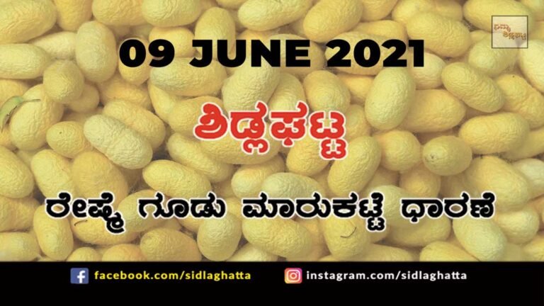 Silk cocoon Sidlaghatta Cocoon Raw Silk Industry Business Market June 9 2021