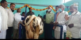 V muniyappa Kochimul Milk Fedaration
