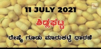 Sidlaghatta silk Cocoon Market Daily Rate