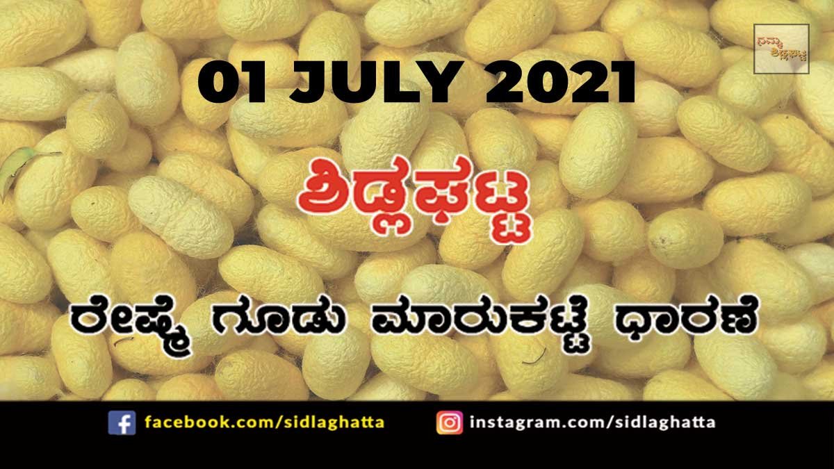 1jul1 Sidlaghatta silk Cocoon Market Daily Rate